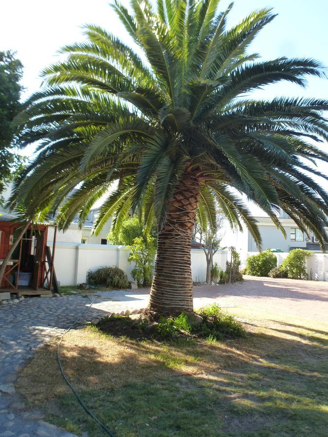 Cape Town Milnerton Lagoon Villa المظهر الخارجي الصورة